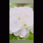 iPhone写真メモリー001