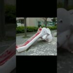 何番目の滑り台で滑ってみたい？
