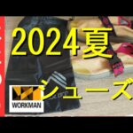 【ワークマン】2024夏携帯用シューズを買ってみた