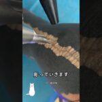タトゥーを入れる前に必ず見るべき動画