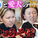 【初対面】急にワンちゃんに会わせたら先輩ママすぎてアッパレwww