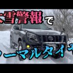 プラドなら大雪警報でもノーマルでいけるっしょ！